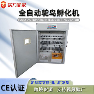 ���Q؛Դ�a���r�B�����C���������C���ƿ�ȫ�Ԅ������r�B������