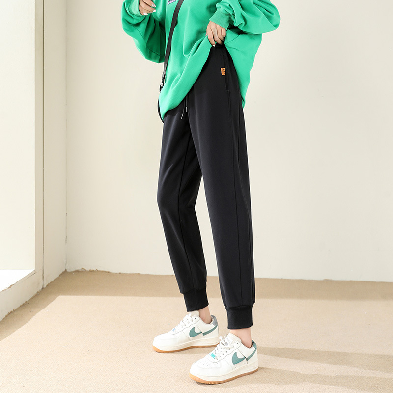 Women's Fleece Sweatpants 2022 Autumn/Winter Gray Harem Sweatpants Loose Fit Tapered Leg Thickened Warm Casual Pants 318F