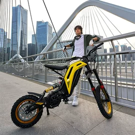 电动摩托车;电动自行车;其他电动车