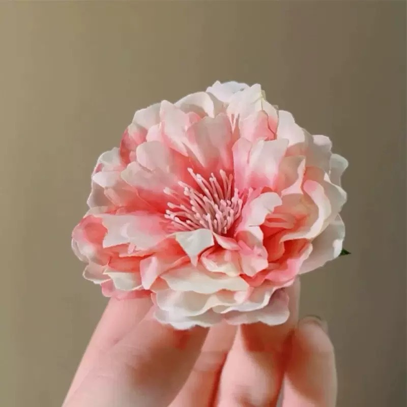 동백꽃 백도