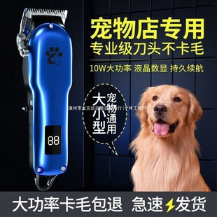 �������ӌ��I��ë��������Ƽ���ë��ë����������Ȯ�����W��