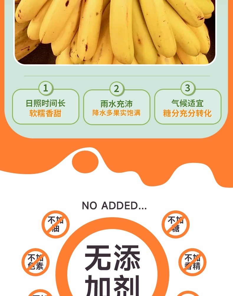 Freeze Dried Banana Slices Original Flavor Crispy Fruit Snack No Added Sugar Non Fried Bulk 250g 4 Jars key features