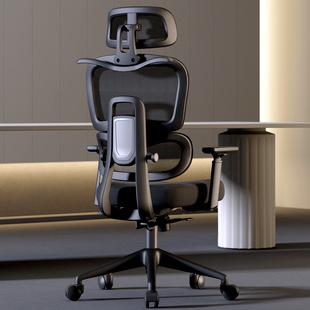 Chair Sedentary Computer Chair Home Office Chair Comfortable Hollow Ergonomic Study Desk Student Chair Backrest