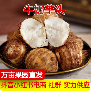�a��ֱ�lɽ�|ţ�����^�������^�㻬ܛŴ����ë���^�߲�һ�����l