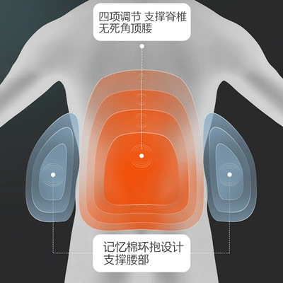 Lumbar Support Sedentary Waist: Waist support