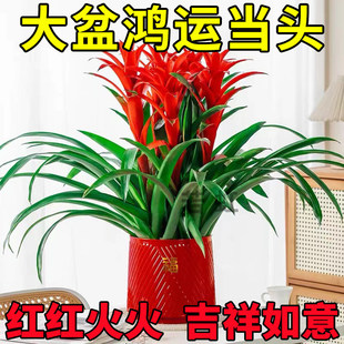 ���\���^�����҃ȿ͏d��լ�Gֲ���������ܺ��B��t���P����B�׻�