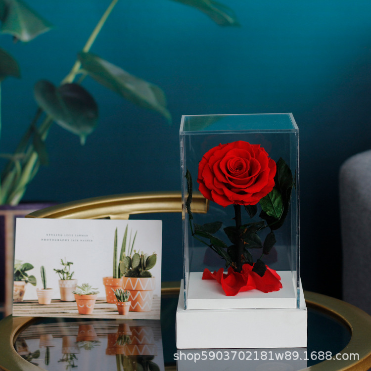 Regalo acrílico del Principito, rosa, Día de San Valentín, regalo de cumpleaños para niña, flor eterna, arte de flor eterna terminado