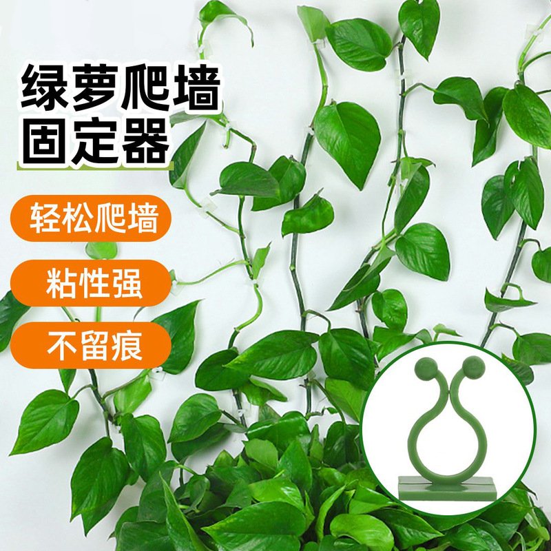 Green radish climbing artifact climbing wall green vine holder green plant climbing clip Wall seamless hook sticky climbing vine Rod