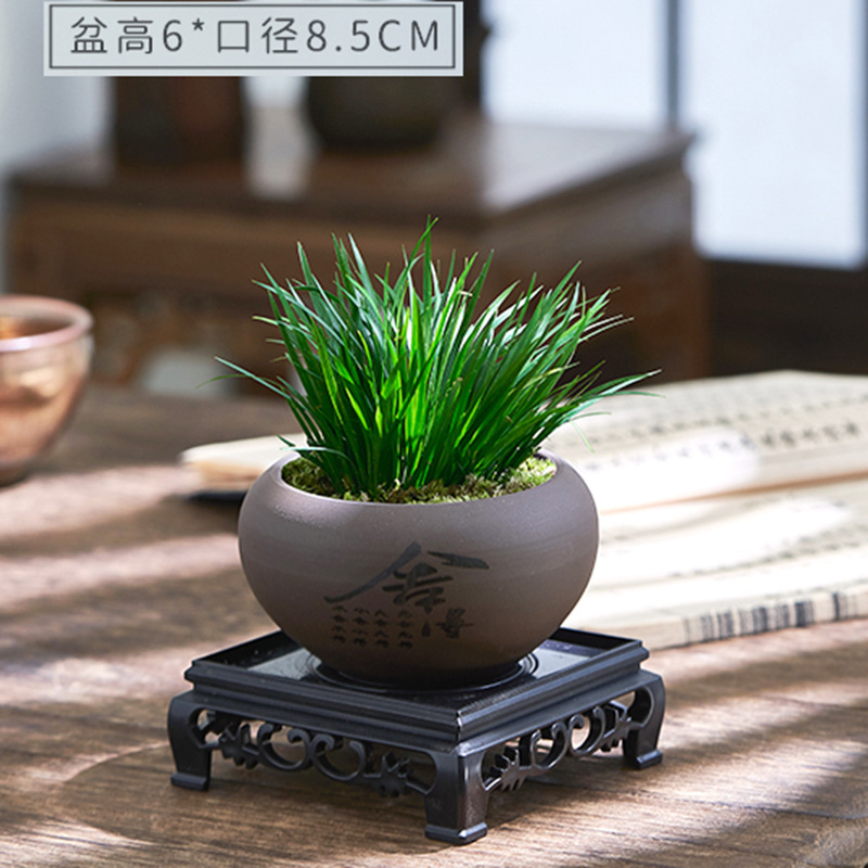 Dinero Acorus acorus bonsai pequeña maceta de oficina decoración de mesa de té modelado Zen迷 interior micro paisaje flor verde