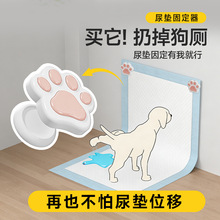 �羳������|�����̶��� ����������N���� ������Ƭ���ܷ����̶�
