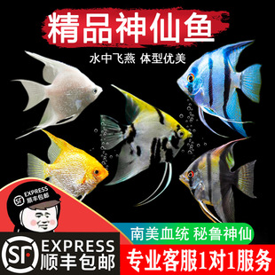 �~���~���^�p�~�߲ʟᎧ�������~С�͵�ˮ���B���������~