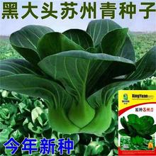 ~_KNӺڴ^๣СͲ˷Nļ˷N