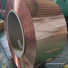 C14415���a�Ͻ��~�� �������������~�� �~�Ͻ�Դ�^�V�|�B�m܈��