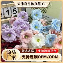 ����d�ӻ��ٻ���c���� �羳�������ϻ���Y���b廨·������