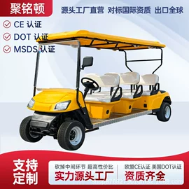 电动观光车;高尔夫球车;其他电动车