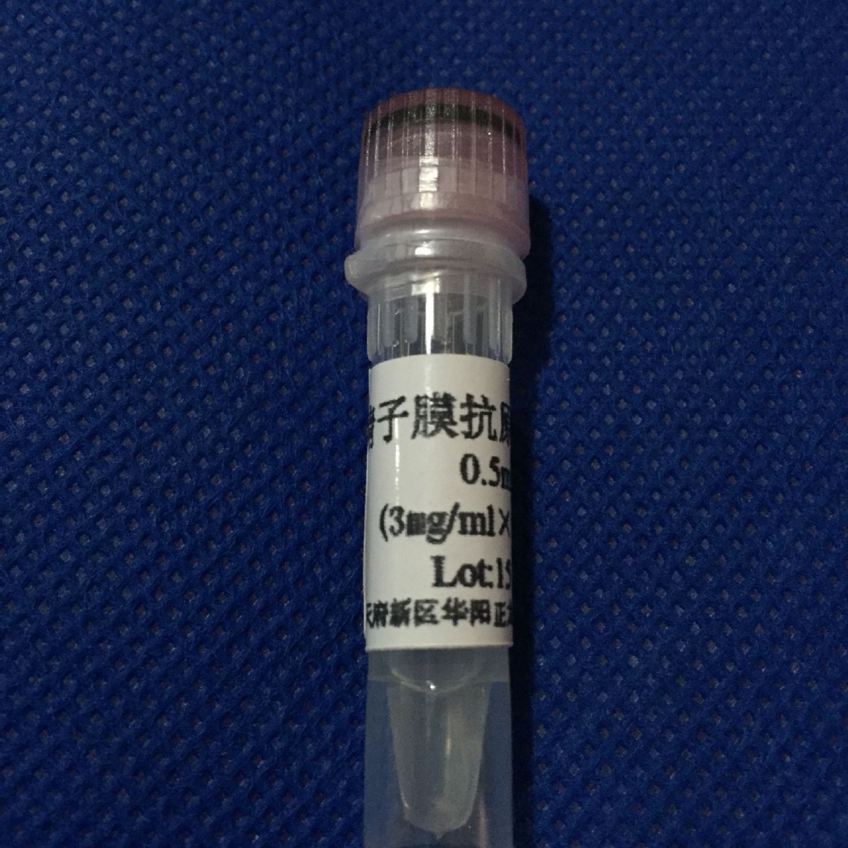 ����Ĥ��ԭ