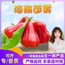 【严选】海南红宝石莲雾 代发5斤新鲜清甜洋蒲桃当季热带水果