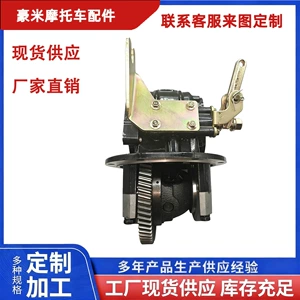 Heavy-Duty Climbing Model Electric Tricycle with Variable-Speed Differential Assembly and High/Low Gear Booster