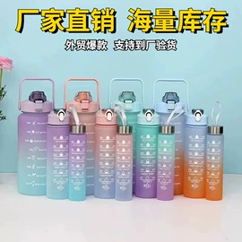 保温杯;塑料杯;吸管杯