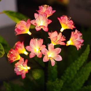 ̫���ɽ�軨�ز�·�������ˮ�bՇ����^�������һ���ƺ��