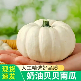 块茎类;其他水果;梨