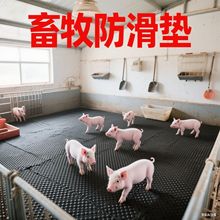 �����������z�|8mm���ӊA���z�|��ĥ��˺������A�c�y�A�����z�|