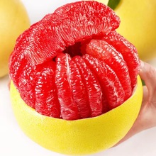 【精选】柚子红心蜜柚平和三红蜜柚红柚香甜蜜柚应季新鲜水果批发