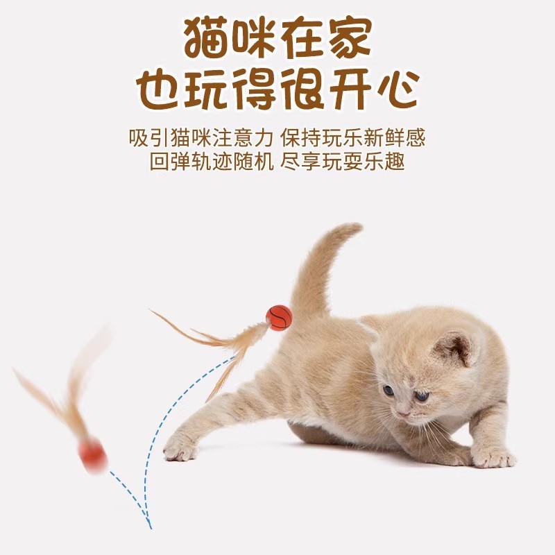 猫のおもちゃの羽の弾力のボールのスポーツボールは猫の棒をからかいます。|undefined