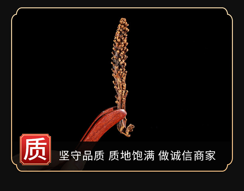 Hu Bian Cao (Achyranthes aspera) — Dried Food Herb, 500g Bulk Herbal Botanical quality and texture