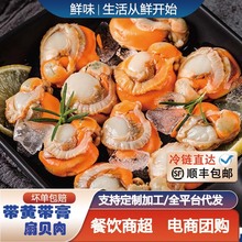 扇贝肉新鲜冷冻海鲜火锅烧烤食材蒜蓉粉丝扇贝肉小海鲜整箱批发