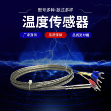 厂家供应PT100温度传感器 精密铂热电阻热电偶高温探头式测温线