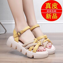 �羳���Q��ЬŮ2023�ļ��¿����m�����⴩���e�¸��ɸ��ƽ�׺��