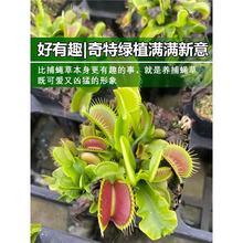 ��ω���i�\��ʳ�x��ʳ�˻���òݲ��ò�ʳ�òݳ����x��Ȥζ����