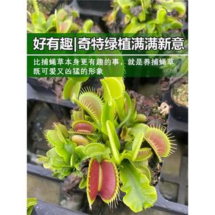 ��ω���i�\��ʳ�x��ʳ�˻���òݲ��ò�ʳ�òݳ����x��Ȥζ����