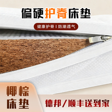 �d����ȻҬ�ش��|Ӳ�|�Ӽ��ü��؉|�ؙ��|��ͯ�������z10cm���|