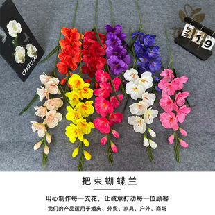 �����֦���m���滨�羳�����Q��c������ߔ[���b�Y�������l