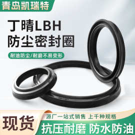 丁晴橡胶LBH型液压防尘油封内径11.2-230 /NBR 防尘封 密封圈
