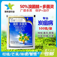 25%溴菌腈+多菌灵辣椒草莓番茄叶菜柑橘炭疽病农药杀菌剂500g包邮