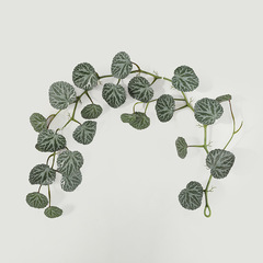 商場櫥窗布置仿真綠植蕨葉藤條 婚慶森系造景仿真1.2米萬年青葉子