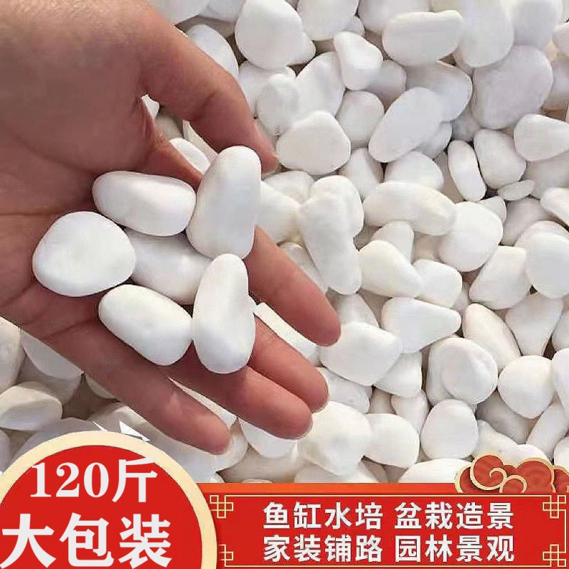 Whitehead son wholesale Camping area courtyard Paving decorate Landscaping Dry mountain Pebble White stone