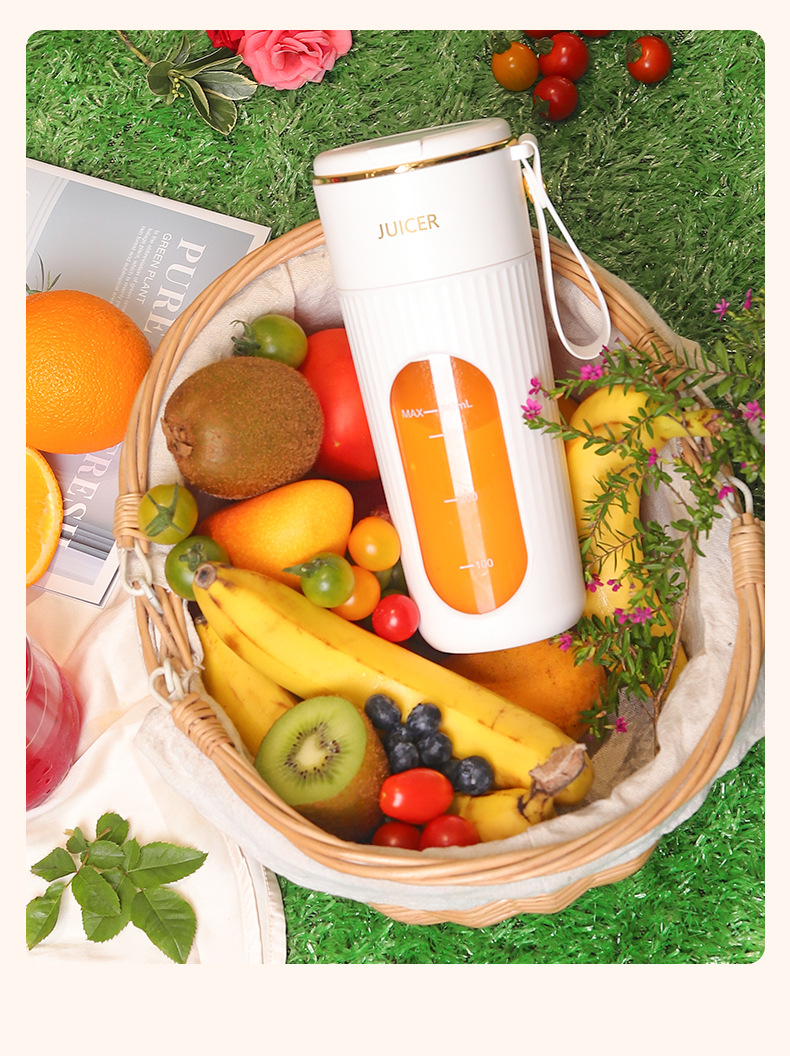 Tragbarer Mini-Elektroentrafter und Smoothie-Mixer
