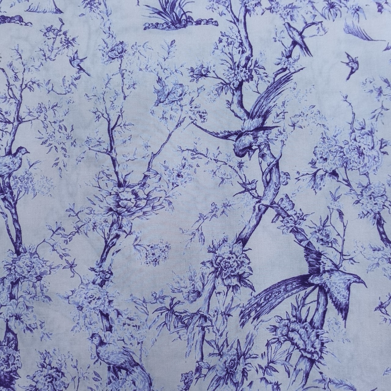 O1CN01X49T1K1FNb8zho4tr_!!2140