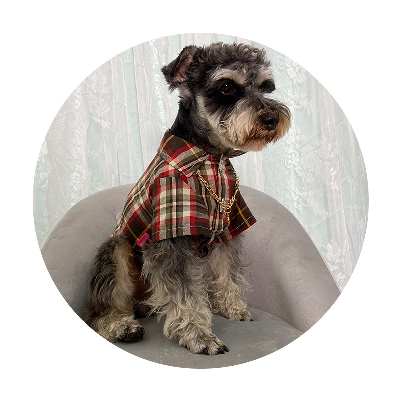 Ŀ· СȮ̩ϲѩӳ ȫ޸ӳ