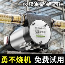 电动抽油泵12v24v转子220v柴油泵小型全自动自吸泵加油机神器设备