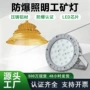 隔爆型防护照明工业级工矿灯