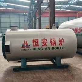 燃气锅炉;蒸汽发生器;燃油锅炉