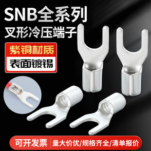 SNB���Ͷ��� �������a Y�����~����~���� U���䉺���;���