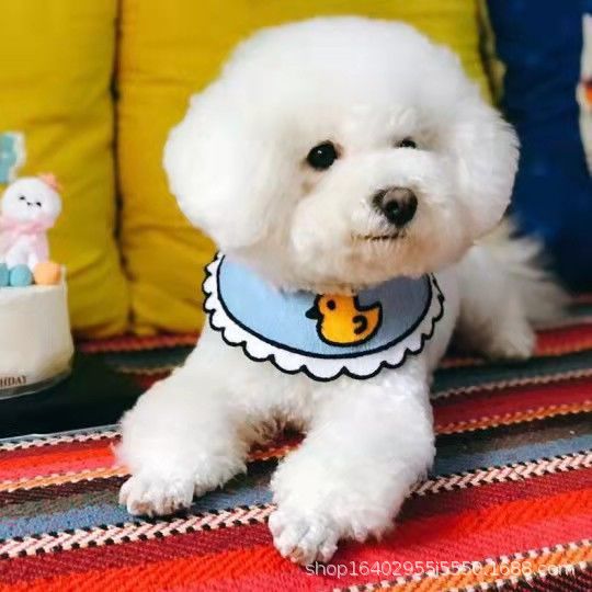 레이스 업 슬립 타올 블루 오리