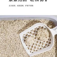 ؈ɰ����10�����o�m�҃Ȏ����Y�F���40�ɛ_���l؈����]��Ʒ����