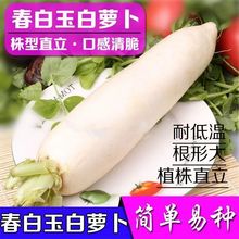 ·N~}N͸ߜ͝}NѴﲥ߲˷N